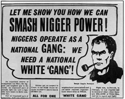 Racist Poster