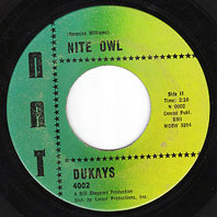 Nite Owl